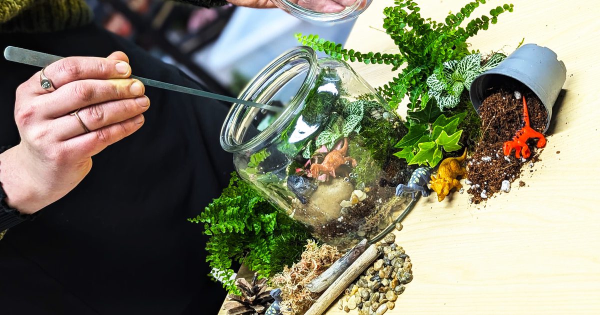 Family Terrarium Workshop at Carlton Towers