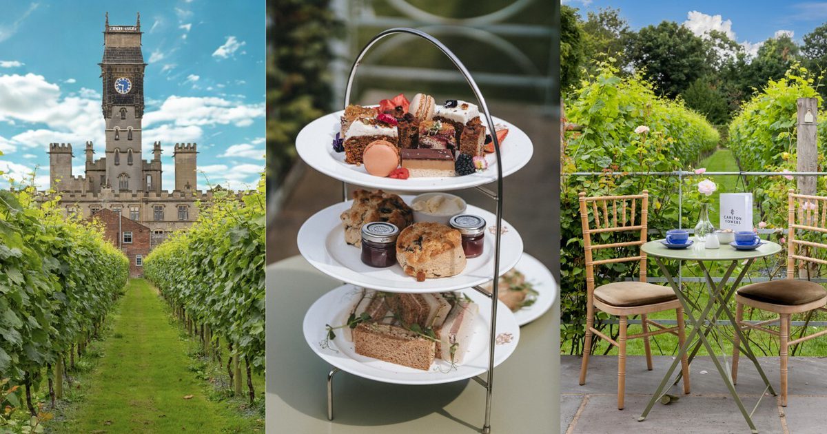 Harmony in the Vineyard: Tea & Tunes