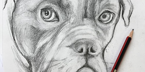 Draw More - Pocklington FUNGUS