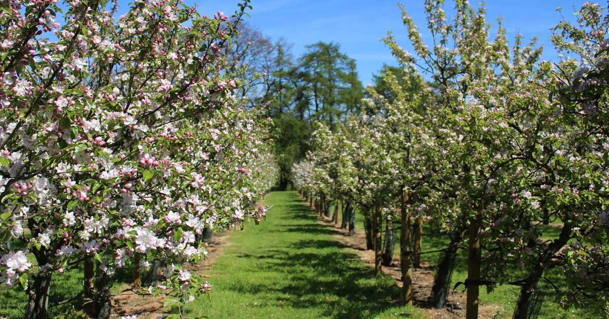 BLOOM at Ampleforth Abbey