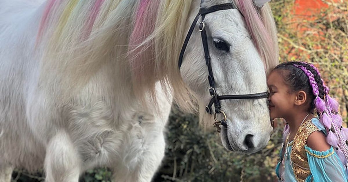 One Day Only Unicorn Encounter at The Hole In Wand York