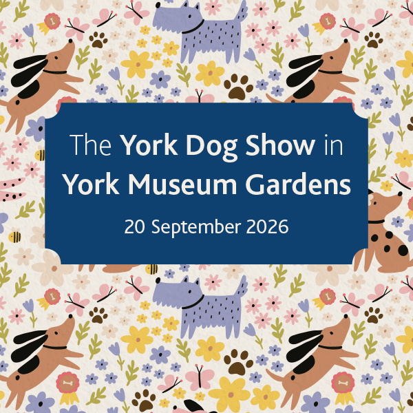 York Dog Show