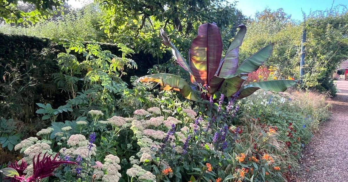Walled Garden Talk: Exotic Borders