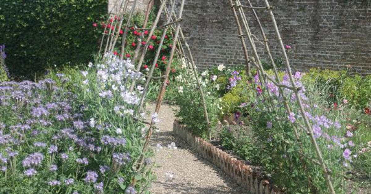 Walled Garden Talk: Growing Cut Flowers