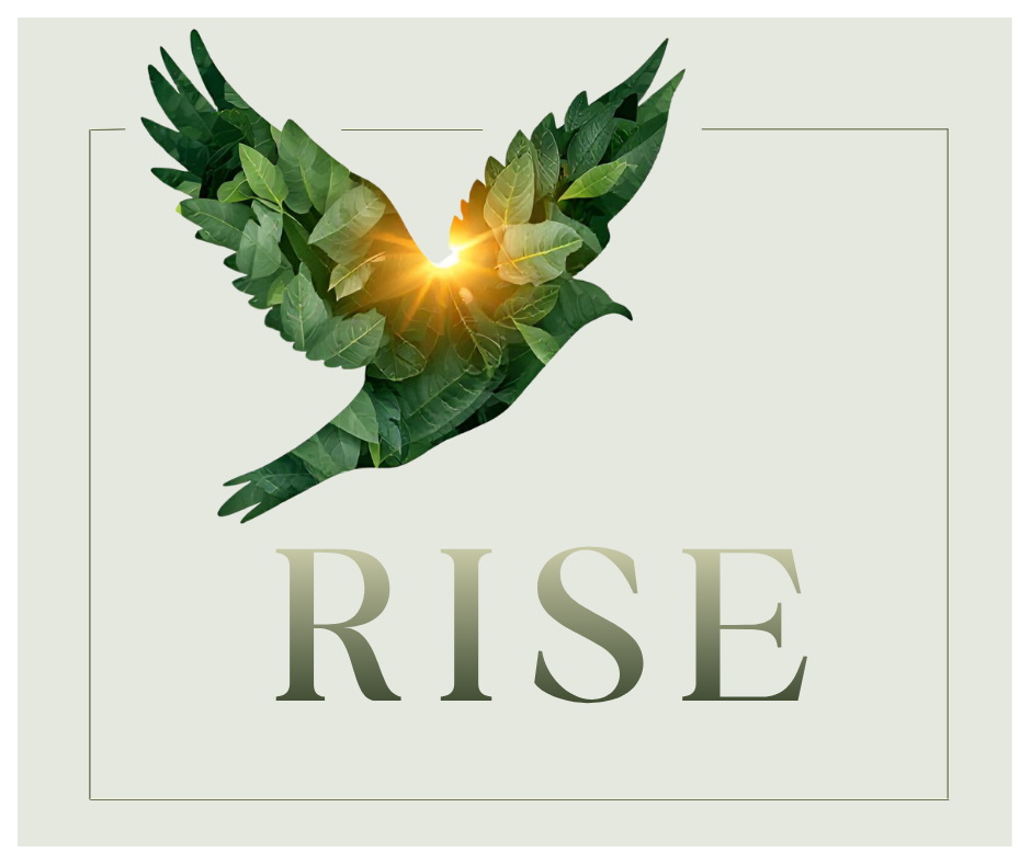RISE  Yorkshire – A Women’s Well-being Afternoon
