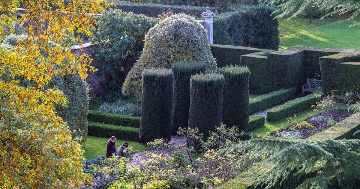 Autumn Garden Tour & Afternoon Tea