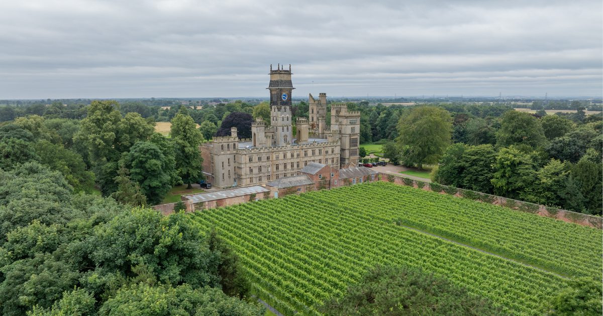 Vineyard Wedding Showcase with Folletti Fleurs